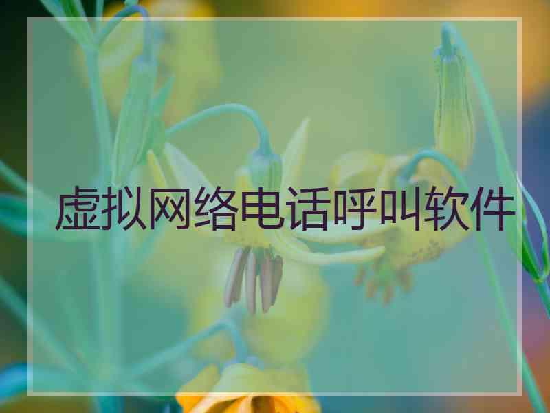 虚拟网络电话呼叫软件