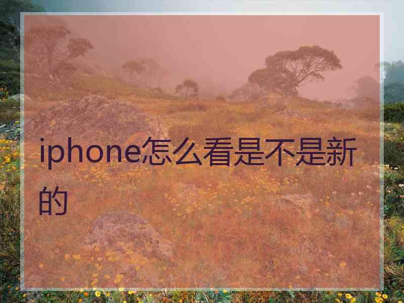 iphone怎么看是不是新的