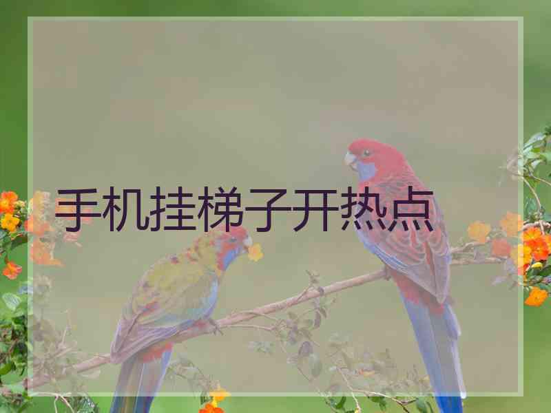 手机挂梯子开热点