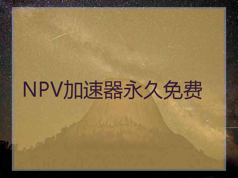 NPV加速器永久免费