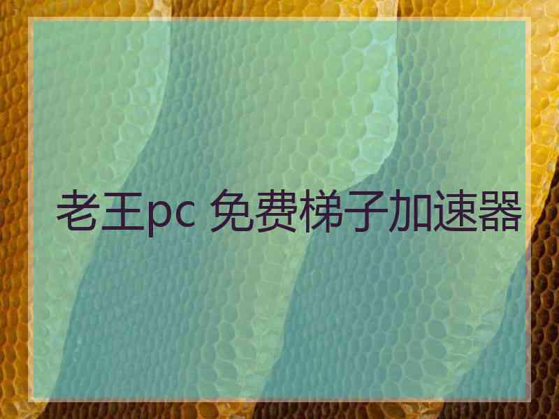 老王pc 免费梯子加速器