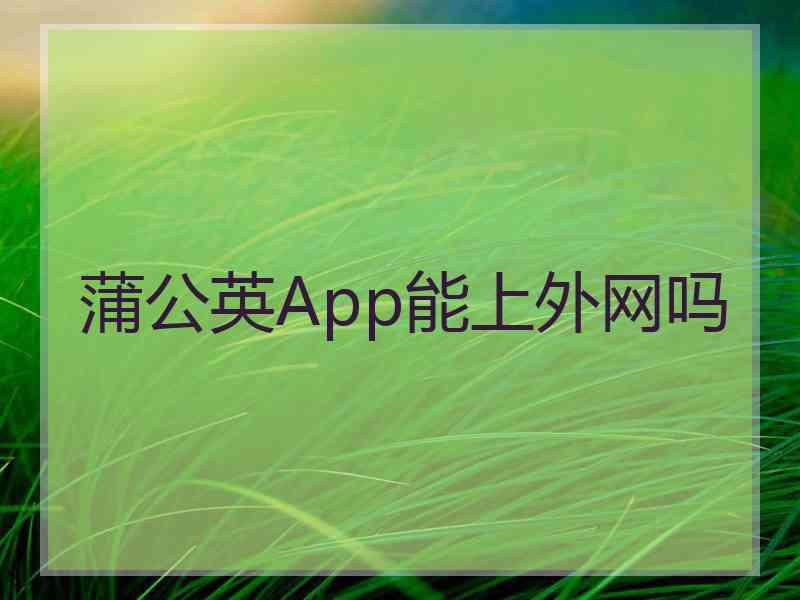 蒲公英App能上外网吗