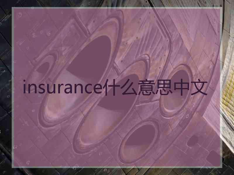 insurance什么意思中文