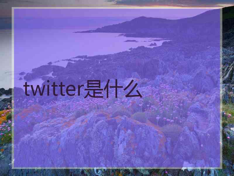 twitter是什么