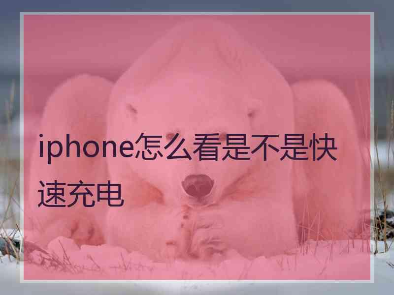 iphone怎么看是不是快速充电