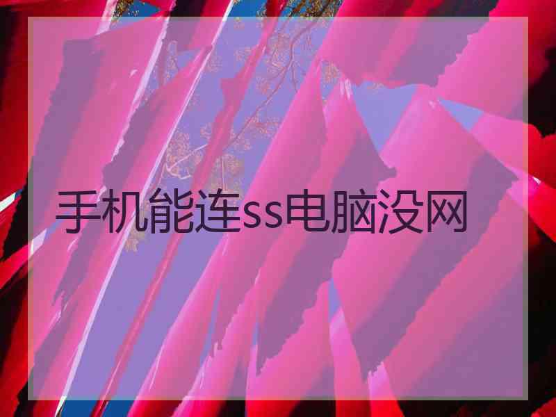 手机能连ss电脑没网