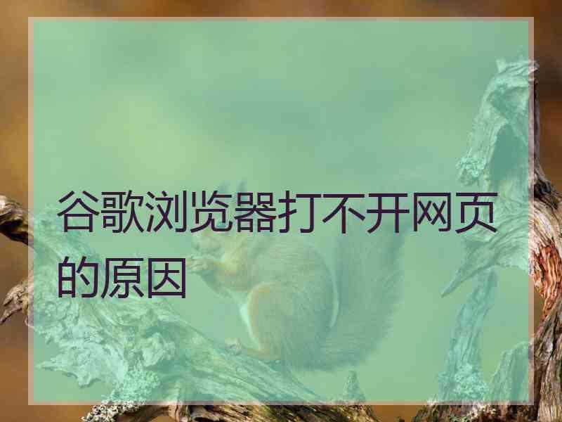 谷歌浏览器打不开网页的原因