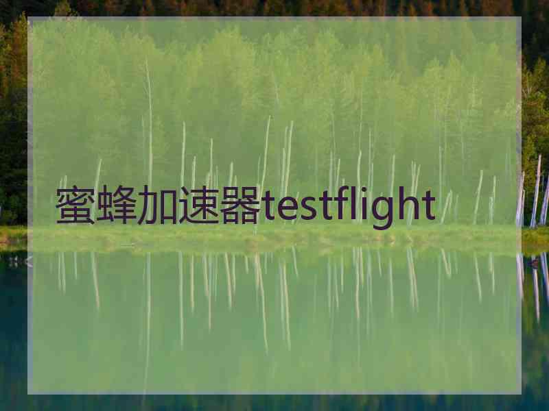 蜜蜂加速器testflight