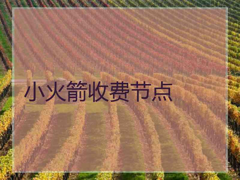 小火箭收费节点