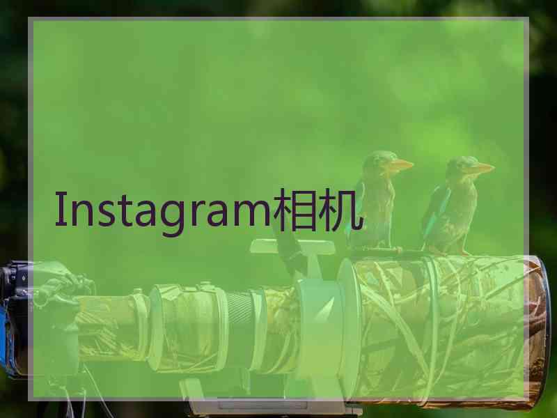 Instagram相机