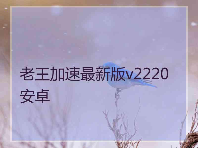 老王加速最新版v2220安卓