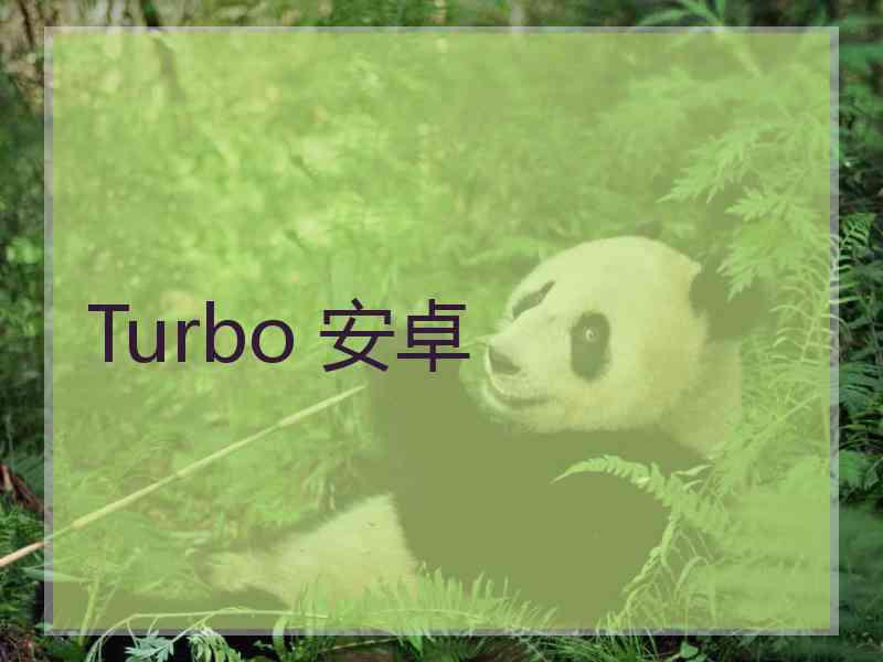 Turbo 安卓