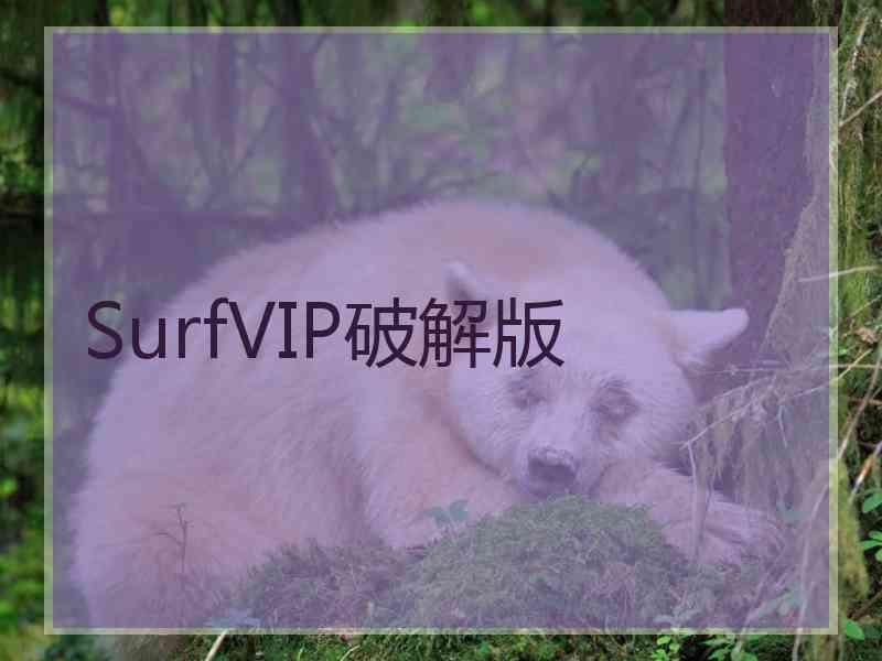 SurfVIP破解版