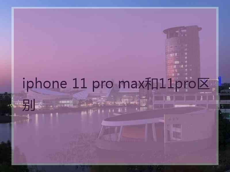 iphone 11 pro max和11pro区别