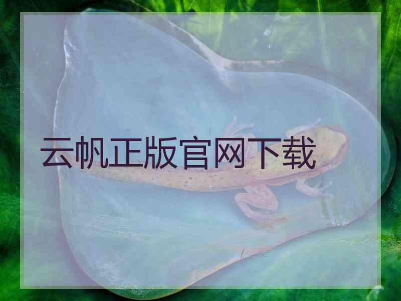 云帆正版官网下载