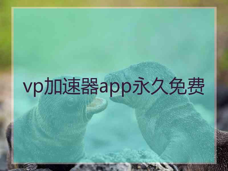 vp加速器app永久免费