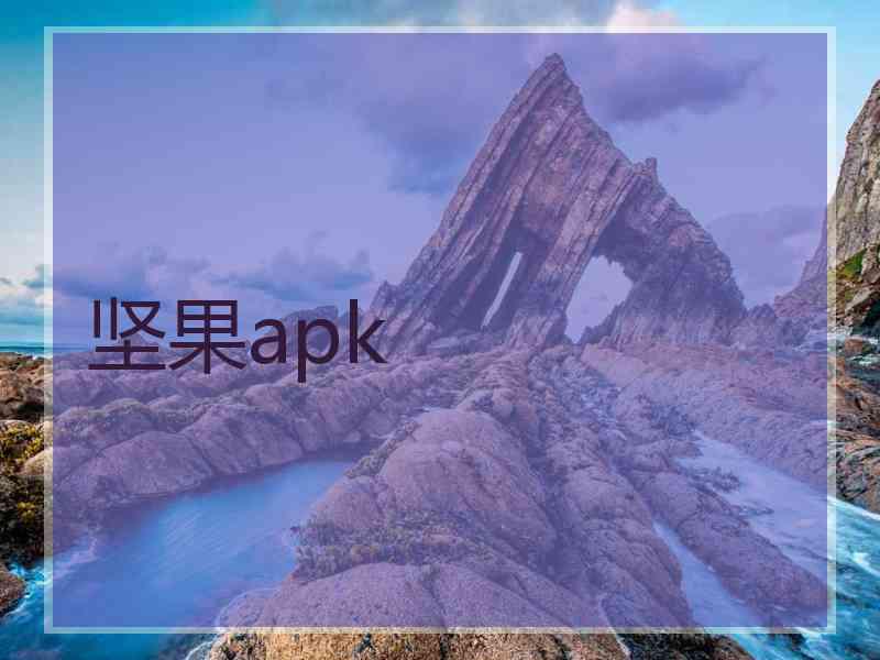 坚果apk