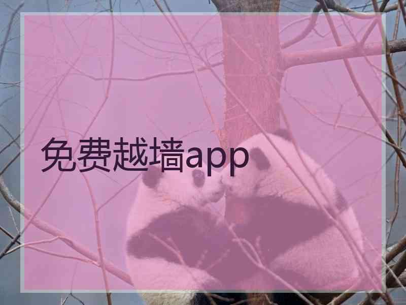 免费越墙app