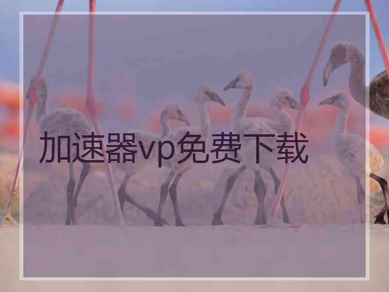 加速器vp免费下载