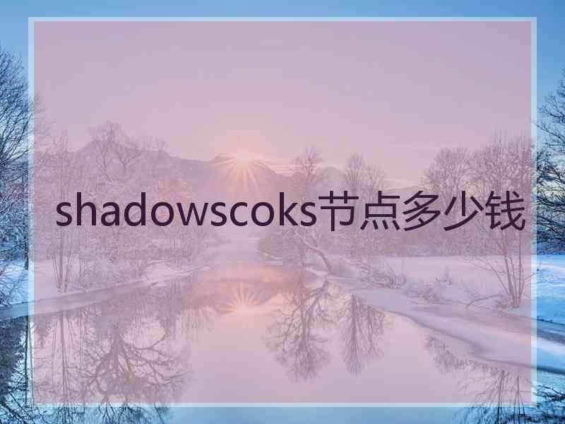 shadowscoks节点多少钱