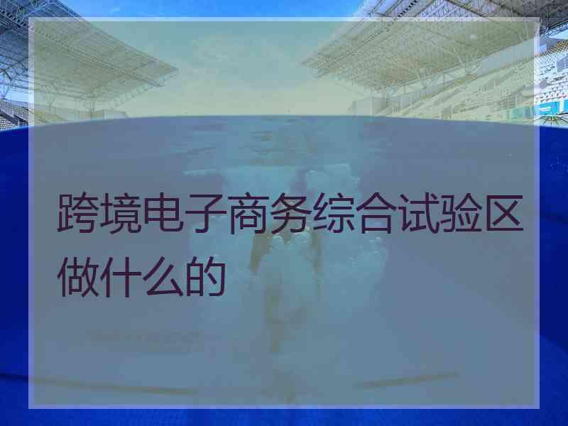 跨境电子商务综合试验区做什么的