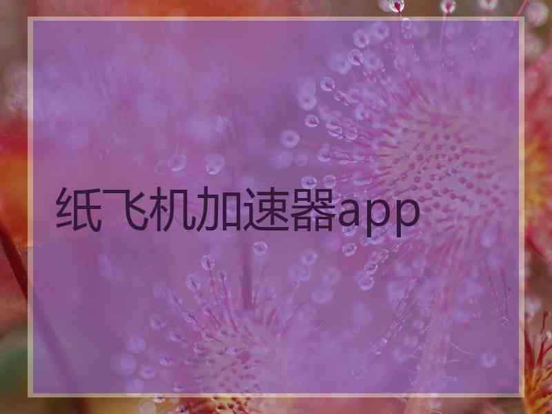 纸飞机加速器app