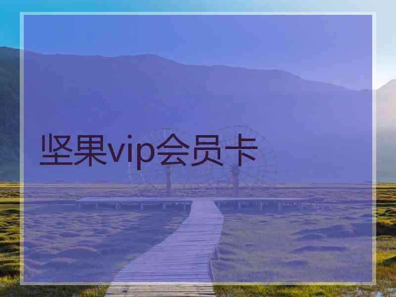 坚果vip会员卡