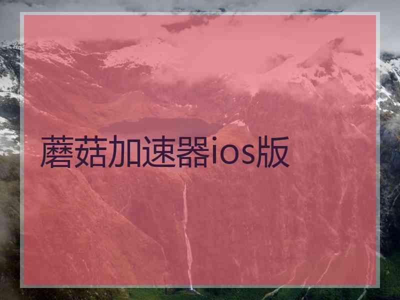 蘑菇加速器ios版