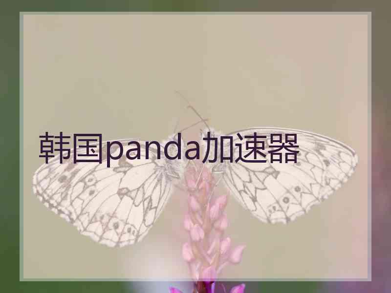 韩国panda加速器