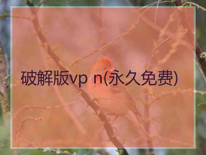 破解版vp n(永久免费)