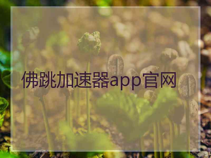 佛跳加速器app官网