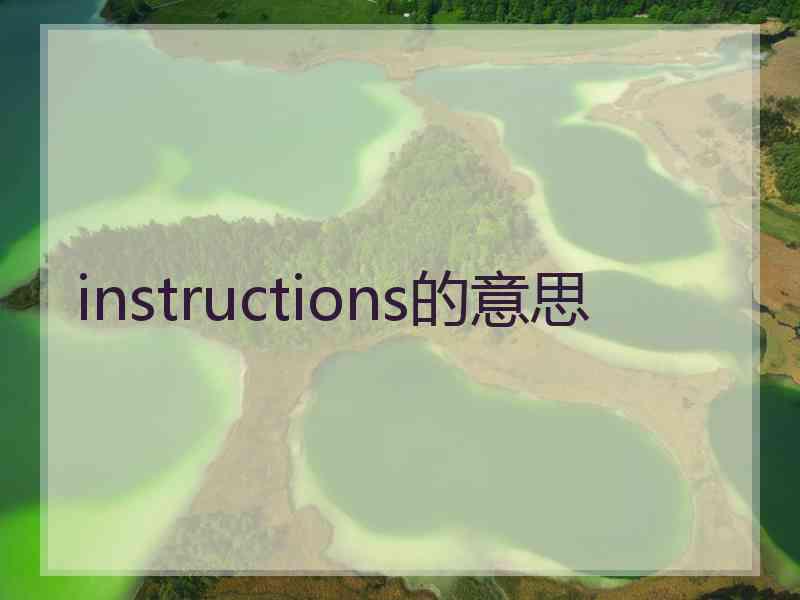 instructions的意思