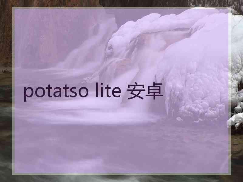 potatso lite 安卓