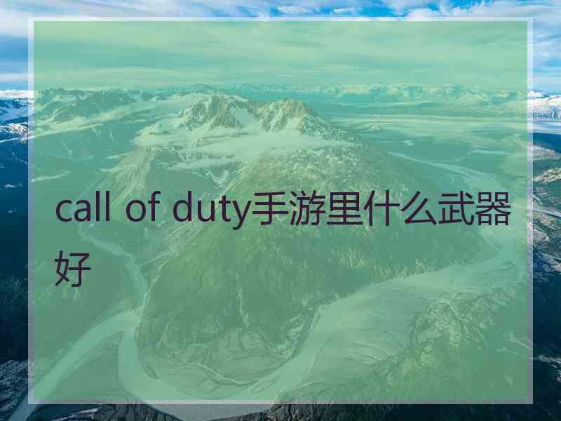 call of duty手游里什么武器好