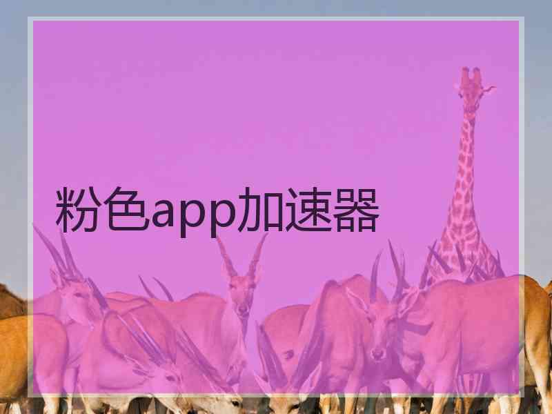 粉色app加速器