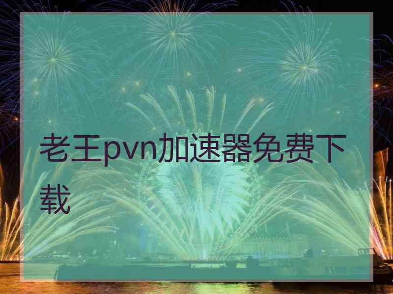 老王pvn加速器免费下载