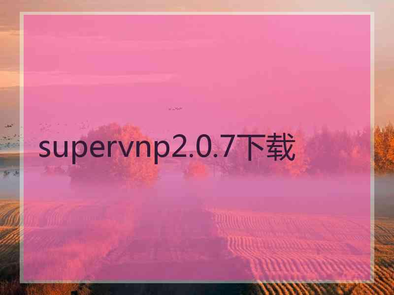 supervnp2.0.7下载