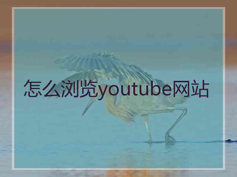 怎么浏览youtube网站