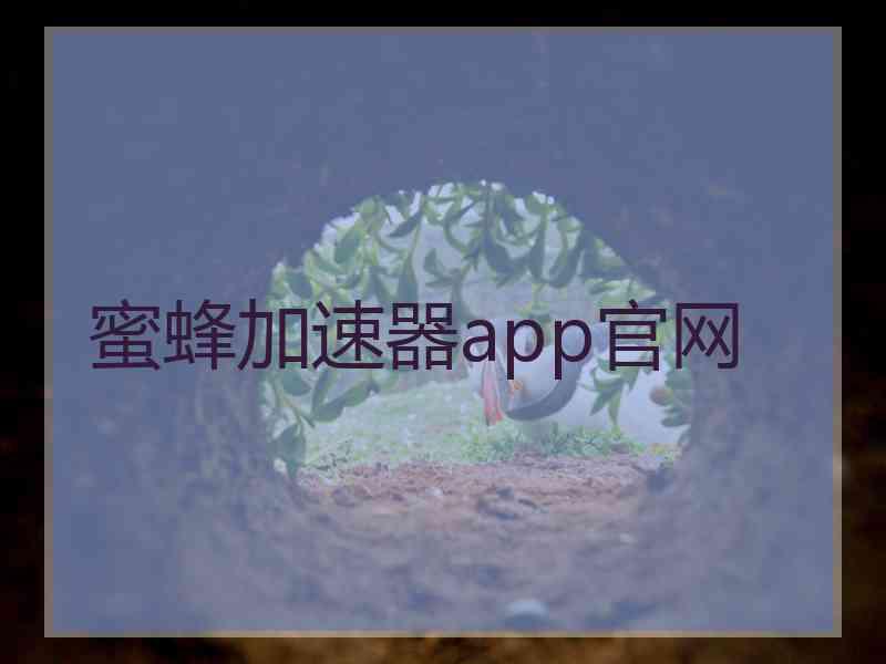 蜜蜂加速器app官网