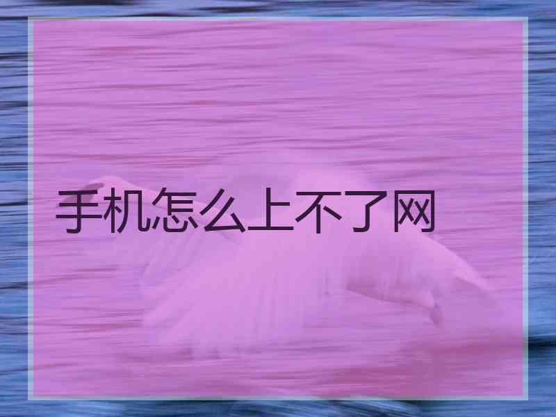 手机怎么上不了网