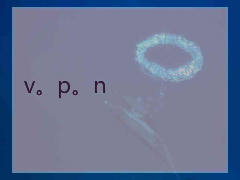 v。p。n