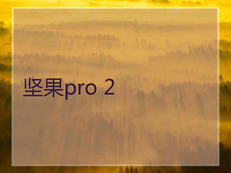 坚果pro 2