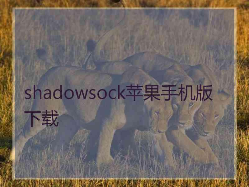 shadowsock苹果手机版 下载