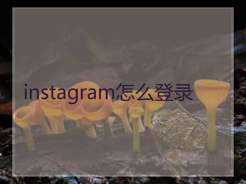 instagram怎么登录