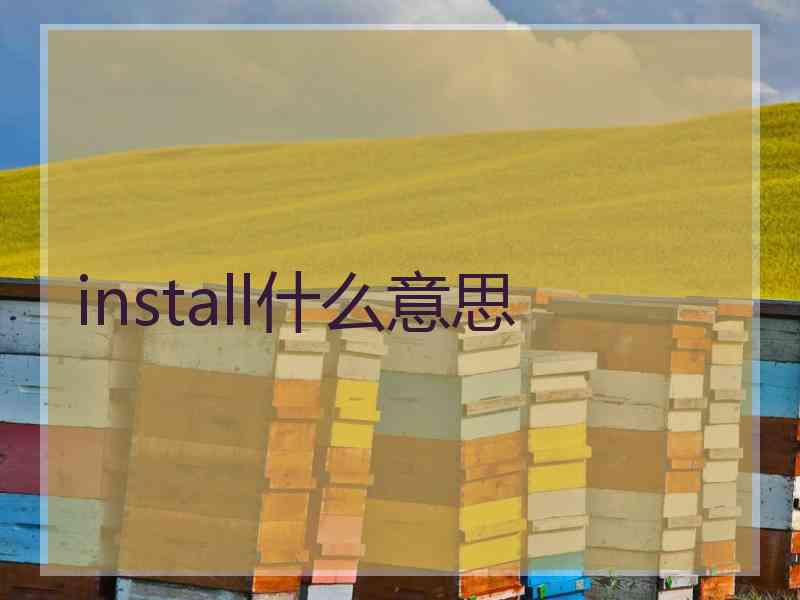 install什么意思