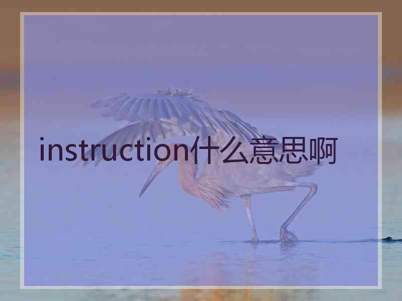 instruction什么意思啊