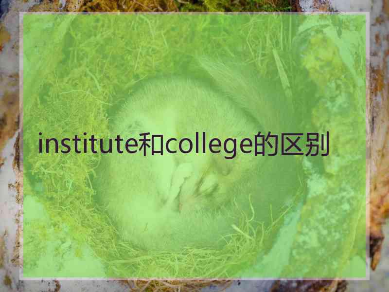 institute和college的区别