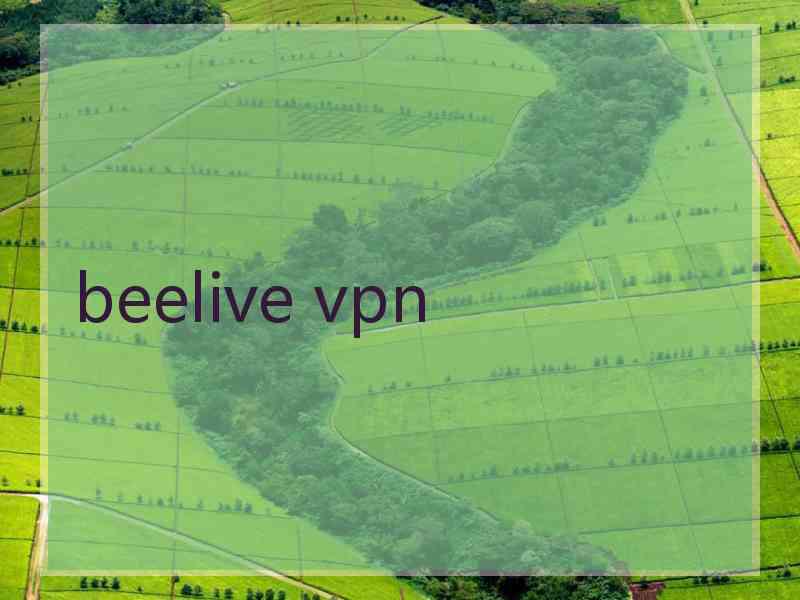 beelive vpn