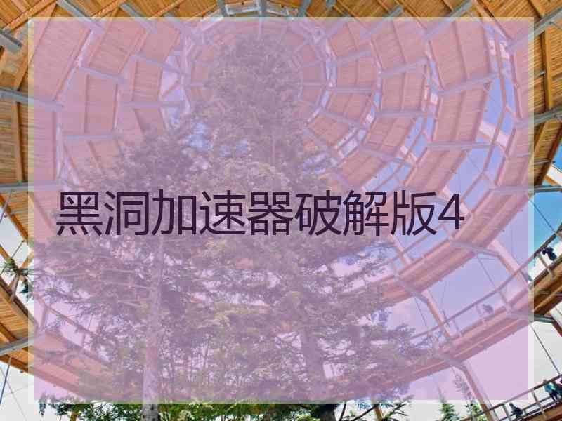 黑洞加速器破解版4