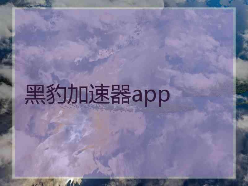 黑豹加速器app